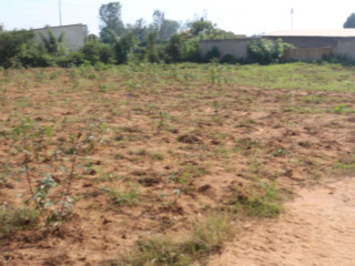 Industrial land for sale in Bugesera near airport of Rwanda