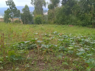 Land for sale in Batsinda Kagugu