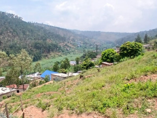 Plot for sale in kiriza at a good price
