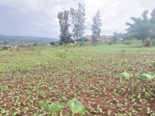 Plot for sale in busanza at a good price