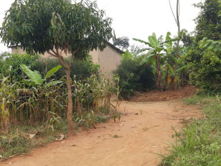 Residential Plot for sale in Bugesera near airport Hot deal