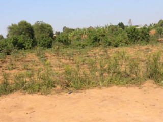 Residential Plot for sale in Bugesera Juru near airport Hot deal