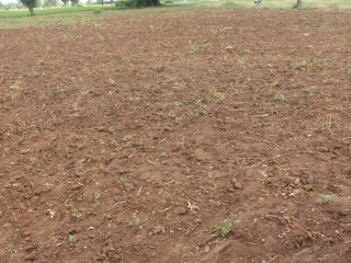 Land for sale in Bugesera near airport of Rwanda View of lake