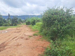 Plot for sale in kinyinya at a good price