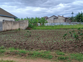 Busanza plot for sale