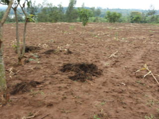 Industrial land for sale in Gahanga Kigali Rwanda