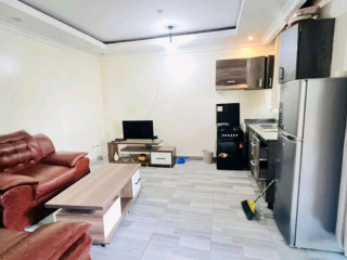 Gisozi furnished 1bedroom apartment for rent at 450k in good location