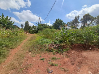 Plot for sale in rebero