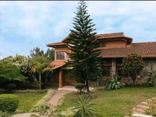 Nice stylish furnished house for rent in kacyiru prime location