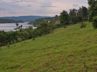 RWAMAGANA MUHSZI VITENGE LAND FOR SALE