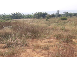 Industial land for sale in Gahanga Kigali