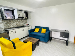 Kigali fully furnished apartment for rent in Kanombe