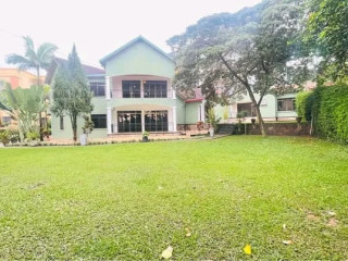 Full furnished house for rent