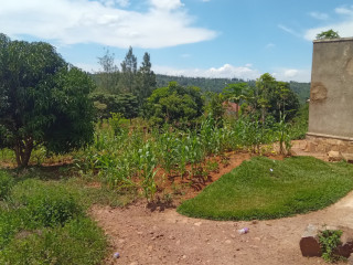 Large plot for sale in Bugesera