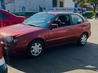 Toyota Corolla maco