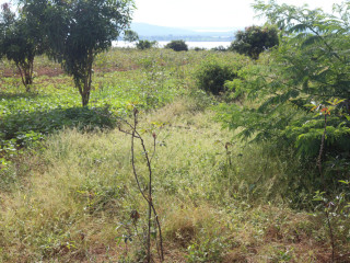 Land for sale in Bugesera Nyamata Town of Rwanda