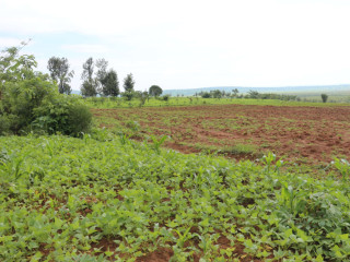 Agriculture land for sale in Bugesera Gashora Rwanda access on water