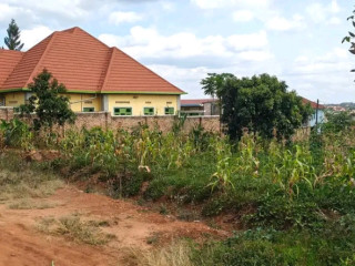 Gasogi Residential Plot for sale 65million