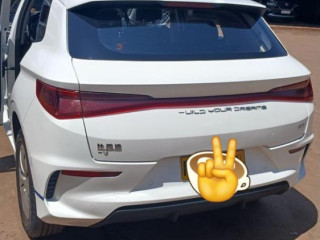 BYD