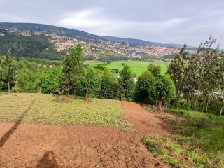 JABANA PLOT FOR SALE