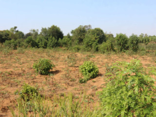 Residential land for sale in Bugesera of Rwanda