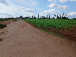 RUSORORO RUHANGA PLOT FOR SALE