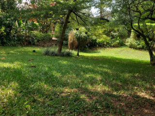 Kigali Unfurnished family Villa available for rent in Nyarutarama