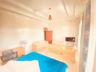 Gacuriro's amazing furnished house for rent with a big compound in Kigali