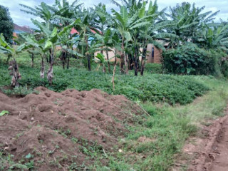 Plot for sale in busanz at agood place
