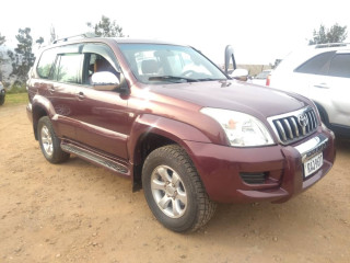 Toyota prado