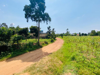 Kigali Plot for sale in Gasogi Kunyange,