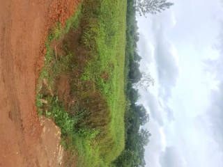 Kinyinya