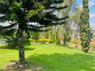 Kigali cozy fully furnished house for rent in Kimihurura
