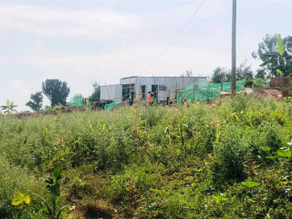 Kagugu batsinda Residential Plot for sale 37 million
