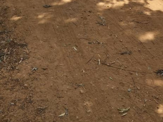 Land for sale in Bugesera Nyamata Town of Rwanda