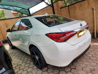 Toyota levin