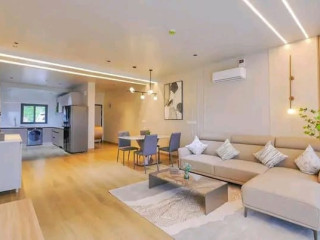 Fully furnished apartment for rent