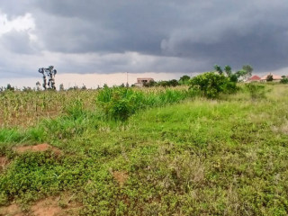 Plot for sale in nyamata at a goodprice