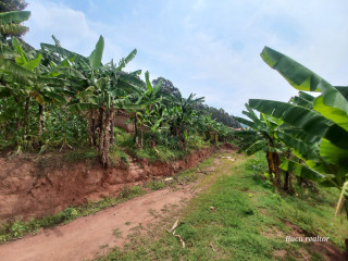 FOR SALE( Please contact me )