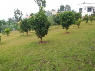 KINYAGA AZAM BUMBOGO PLOT FOR SALE