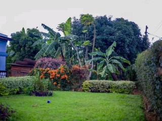 NDAGURISHA IKIBANZA KIRIMO INZU KABEZA UBUSO 2400Sqm