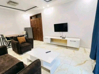 Gishushu near lemigo hotel furnished apartment for rent