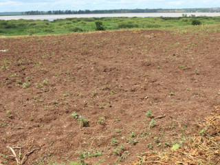 Land for sale in Bugesera near airport access on lake of Rwanda hot deal