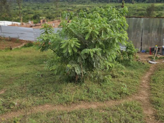 Kigali Rwanda plot for sale in Kagarama