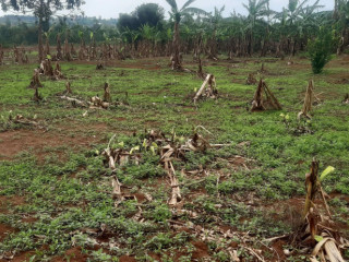 Residential land for sale Juru near airport of Rwanda