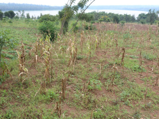 Land for sale in Bugesera near airport of Rwanda view of lake