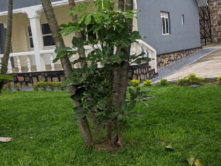 2 kibagabaga kibagabaga very nice well unfurnished house for rent