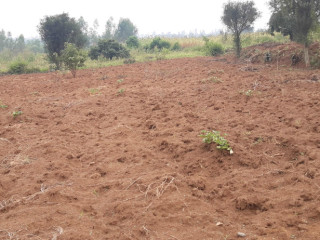 Land for sale in Bugesera near airport of Rwanda
