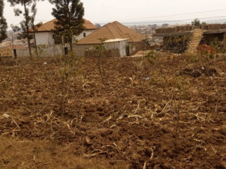 Busanza plot for sale