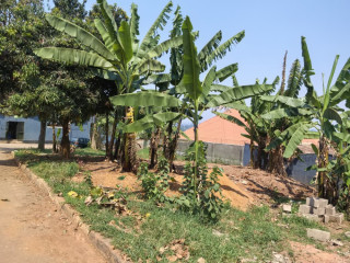 Residential Plot for sale in Gisozi at 60M